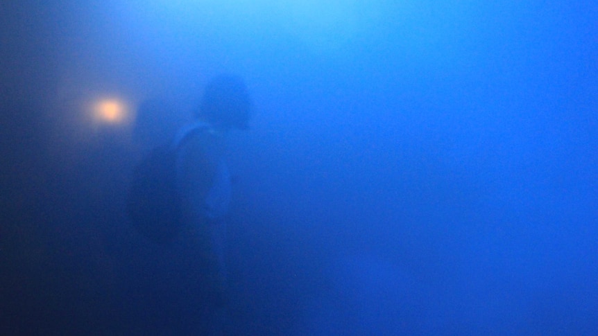 Silhouette of a man inside a blue darkened room.