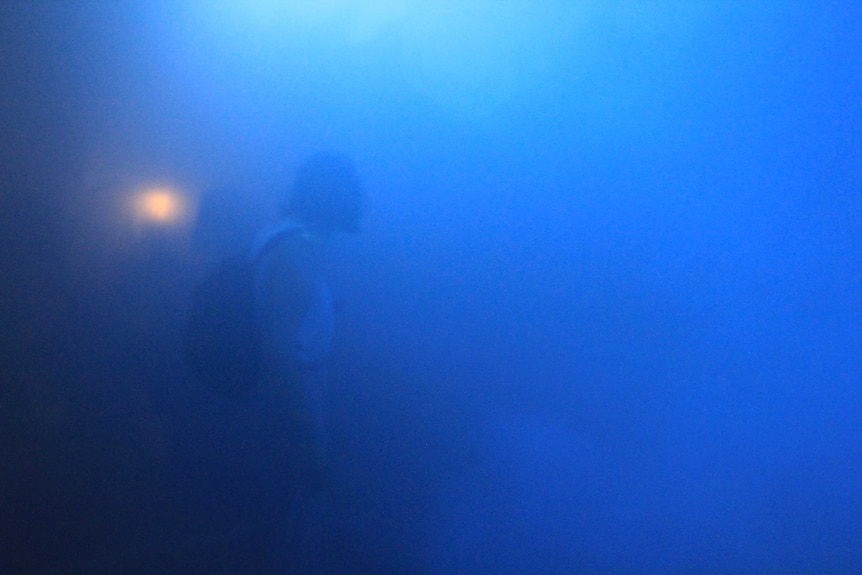Silhouette of a man inside a blue darkened room.
