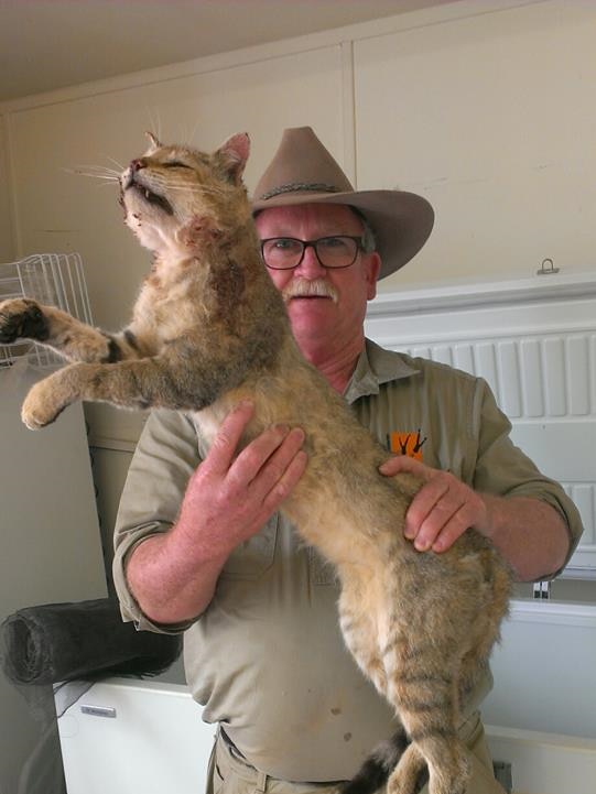 Arid Recovery Field and Maintenance Officer John Crompton holding a large feral cat.