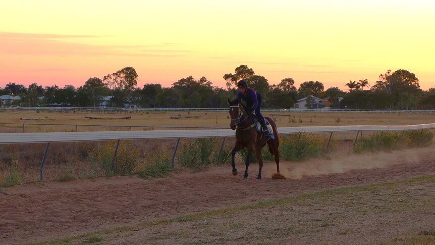 A young woman is racing a horse around a dirt track at the crack of dawn
