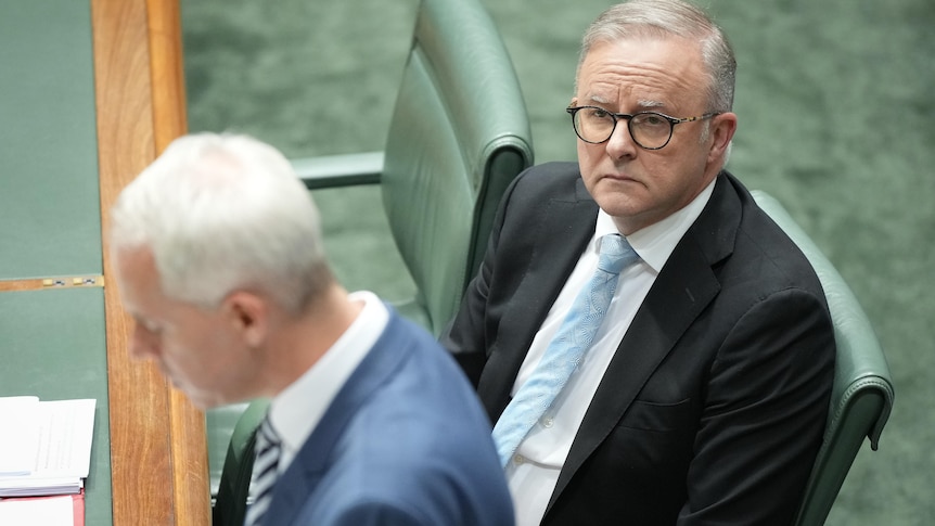 Anthony Albanese looks at Andrew Giles