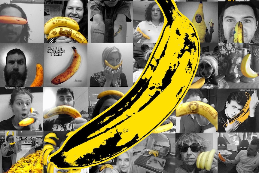 Velvet Underground Fan Tribute Collage