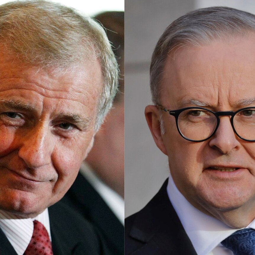 A photo of Simon Crean on the left and Albanese on the right, both wearing suits with serious facial expressions. 