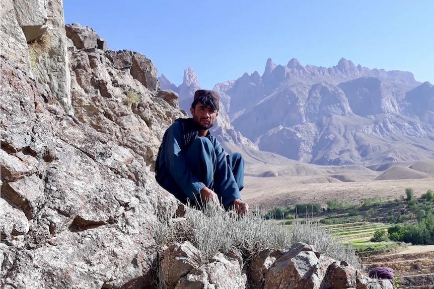 An Afghan man crouches near an ephedra plant.