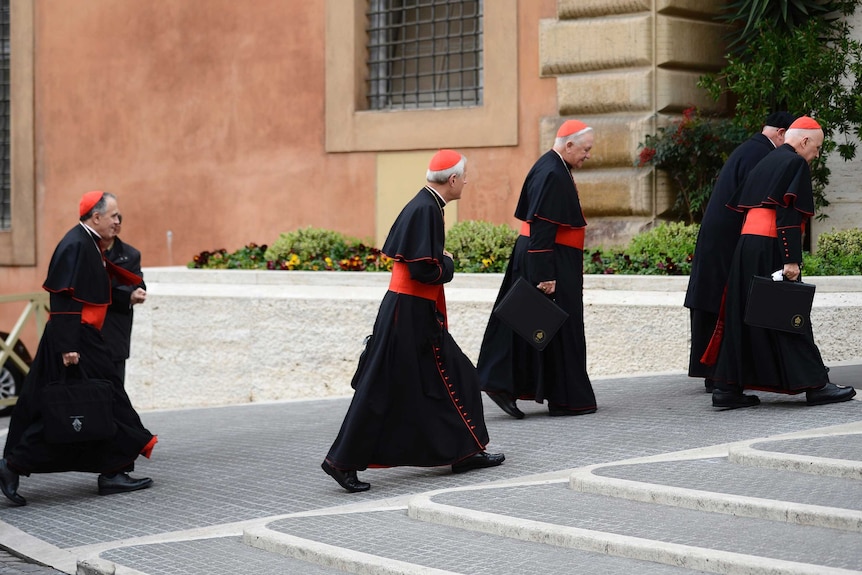 Cardinals arrive for meetings at the Vatican