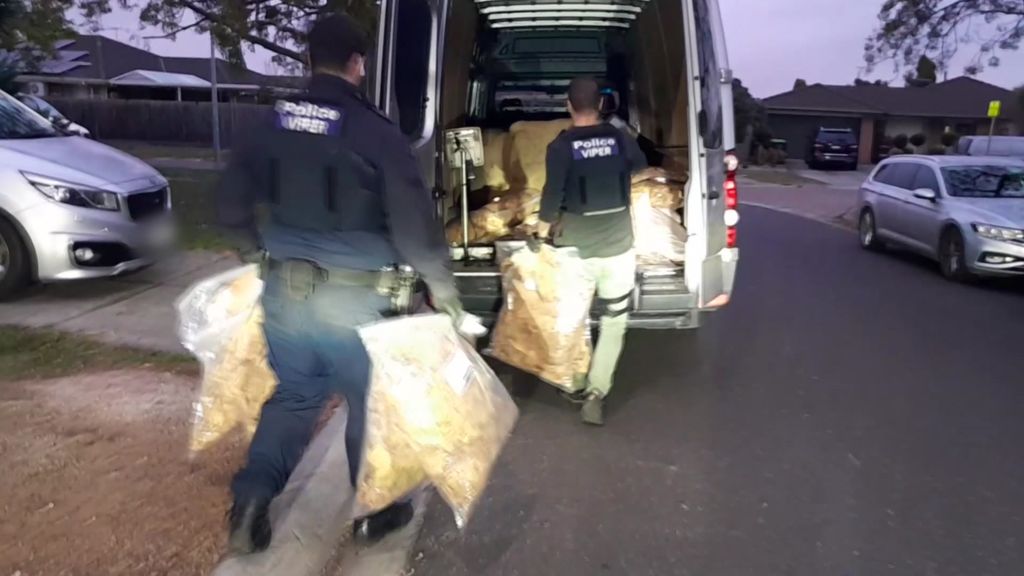 Police seize tonnes of illegal tobacco after raids in Victoria linked to  organised crime gangs