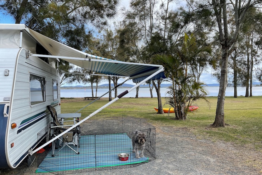 A caravan sits near the water's edge, with a dog sitting next to it. 