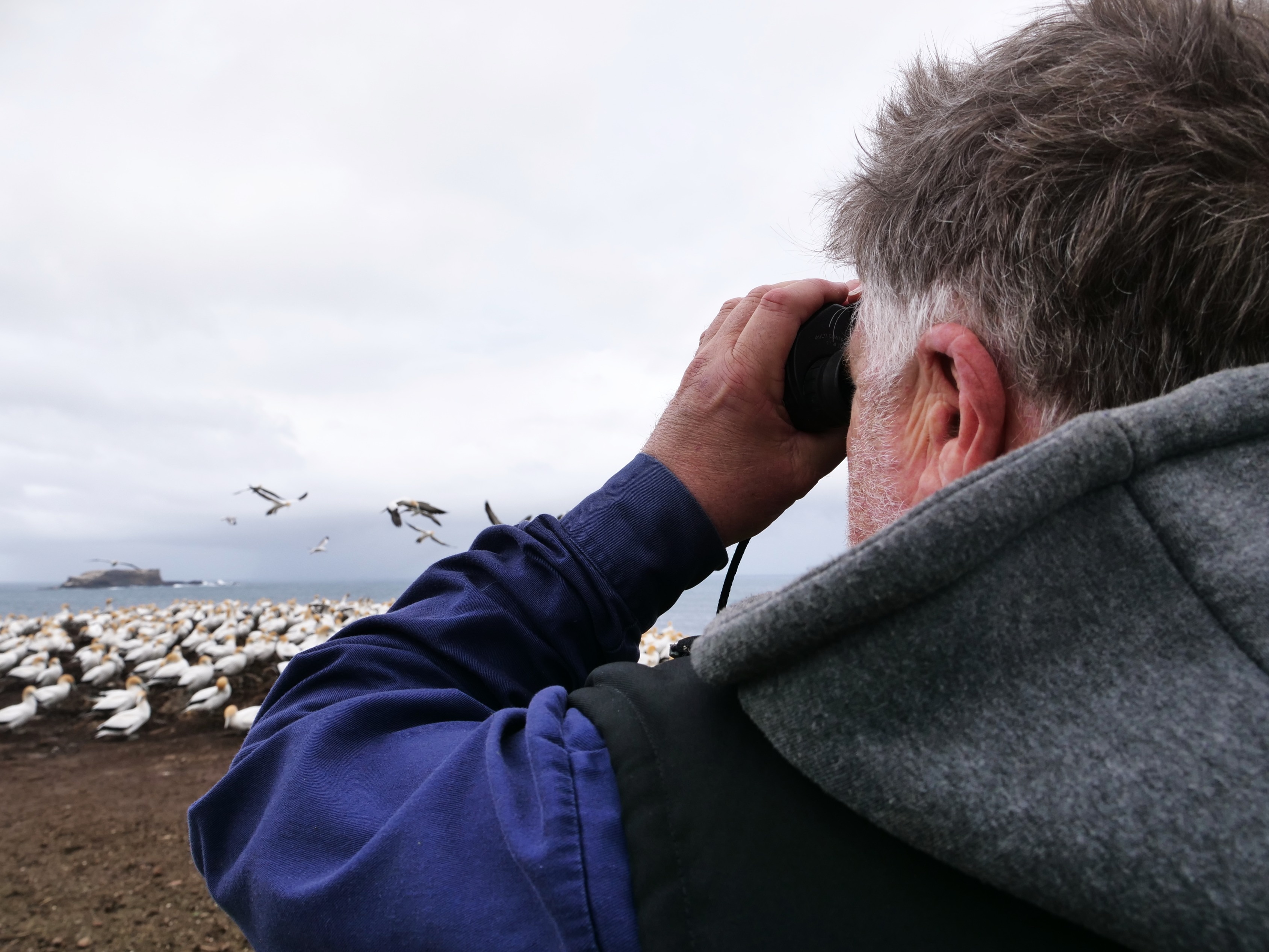 A man uses binoculars to look at sea birds.