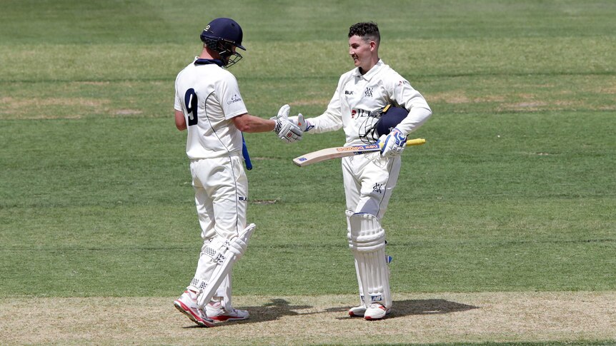 Two cricketers wearing pads and white clothes shake hands in the middle of a cricket pitch