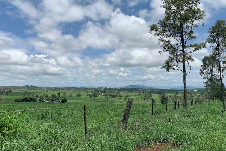 Green paddocks in a bucolic countryside under a cloudy blue sky