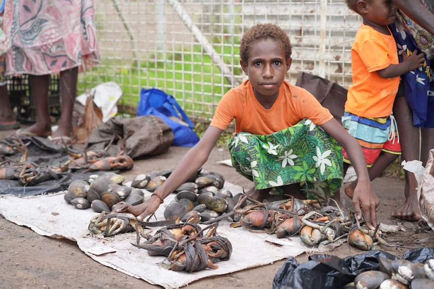 A young Papua New Guinean boy squats down near an array of live caught seafood.