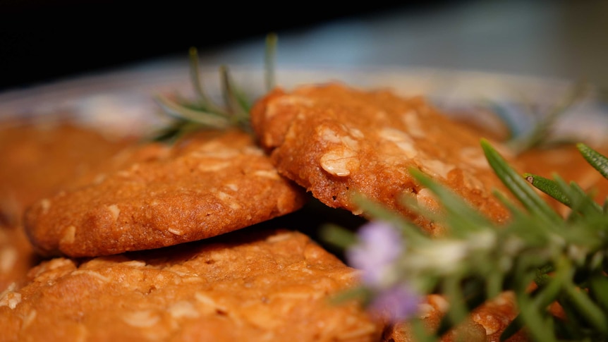 A plate of Anzac biscuits with sprigs of rosemary.