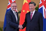 Anthony Albanese and Xi Jinping shake hands in front of chinese and australian flags