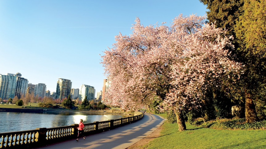 A woman runs along the waterfront in Vancouver, Canada.