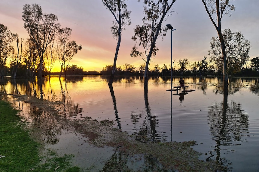 A girl sitting on a bench in water with a yellow, pink and purple sky behind her. 