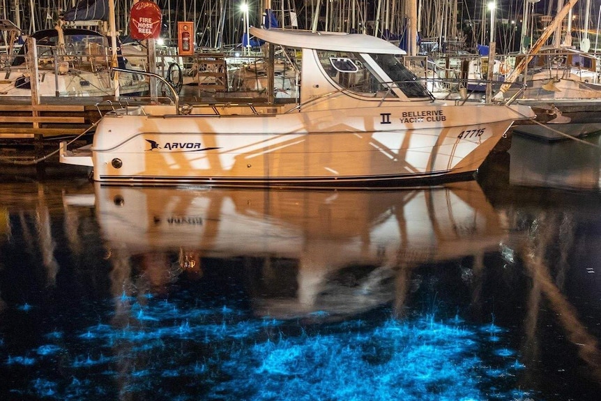 Bioluminescence in the water next to a yacht at Bellerive Yacht Club, Hobart.