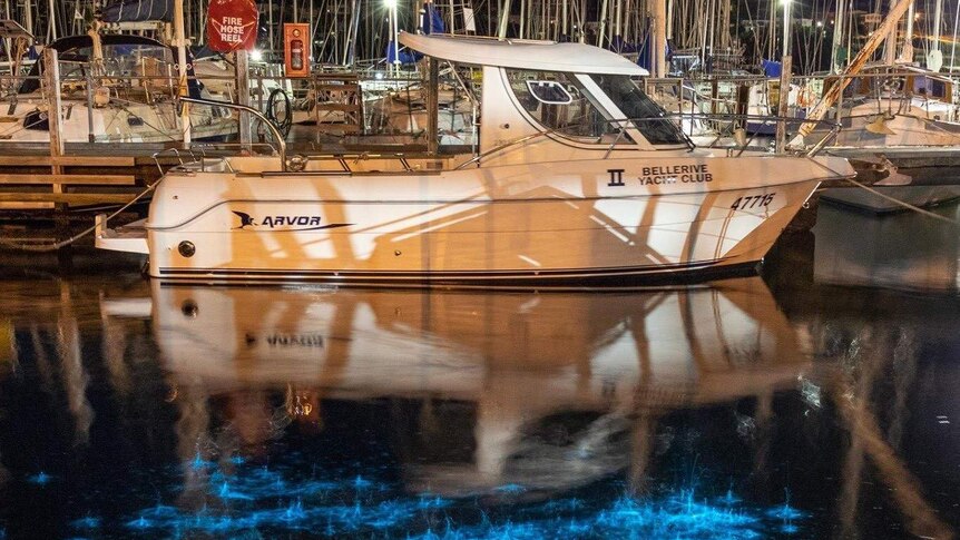 Bioluminescence in the water next to a yacht at Bellerive Yacht Club, Hobart.