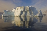 The effects of climate change from the Antarctic melt may have a delayed impact on Australia.