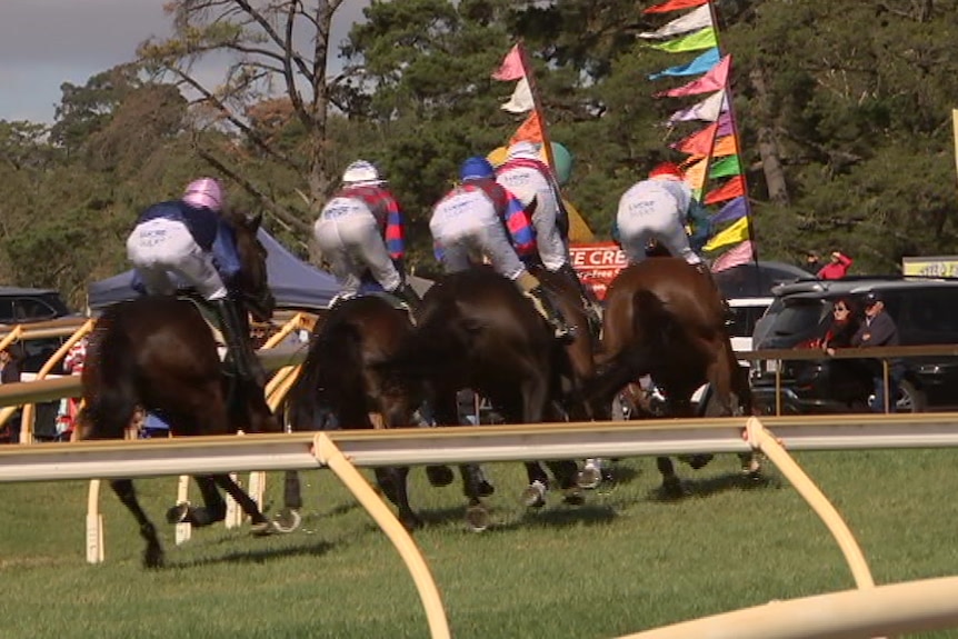 Horses racing