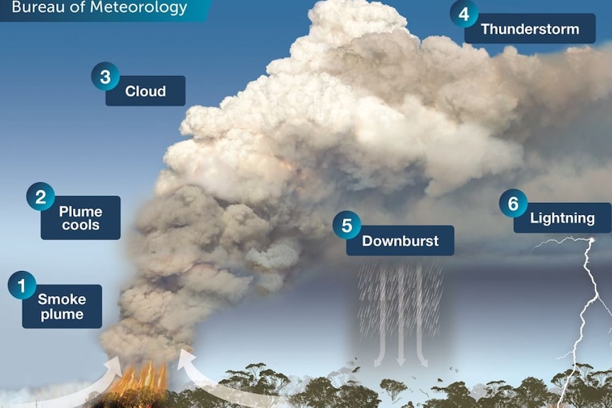 Diagram shows how smoke plumes create thunderstorms
