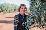 A woman standing beside an olive tree.