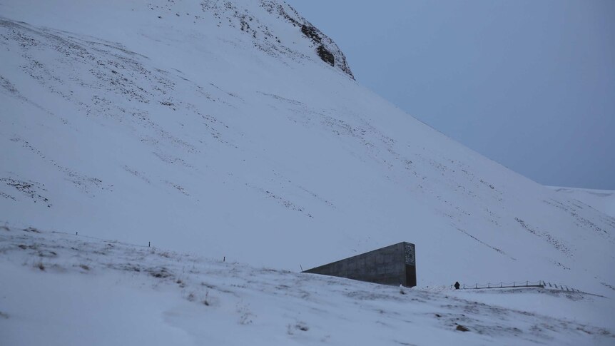 The Global Seed Vault sits in the extreme landscape of Svalbard in the Arctic Circle.