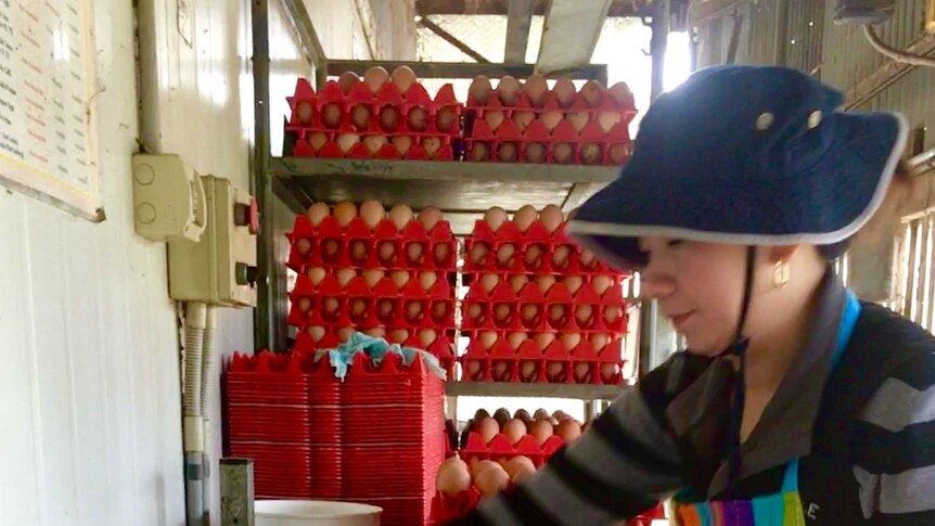 A woman sorts eggs