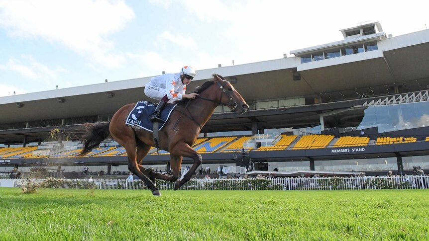 A jockey rides a horse to victory at Rosehill Racecourse without any spectators in the grandstand.
