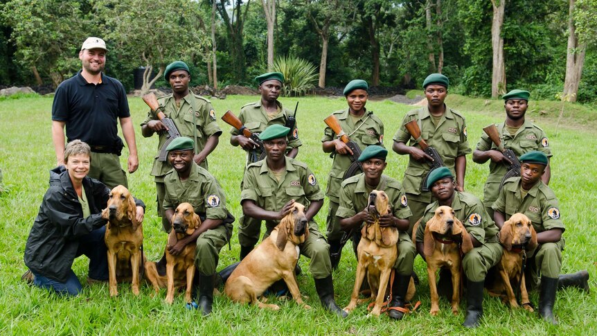 A team of park rangers poses with a team of bloodhounds in Virunga National Park
