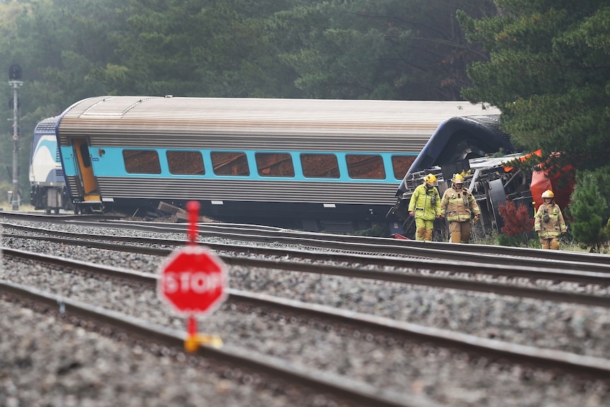 Police investigate a train carriage that's derailed amongst trees at night.