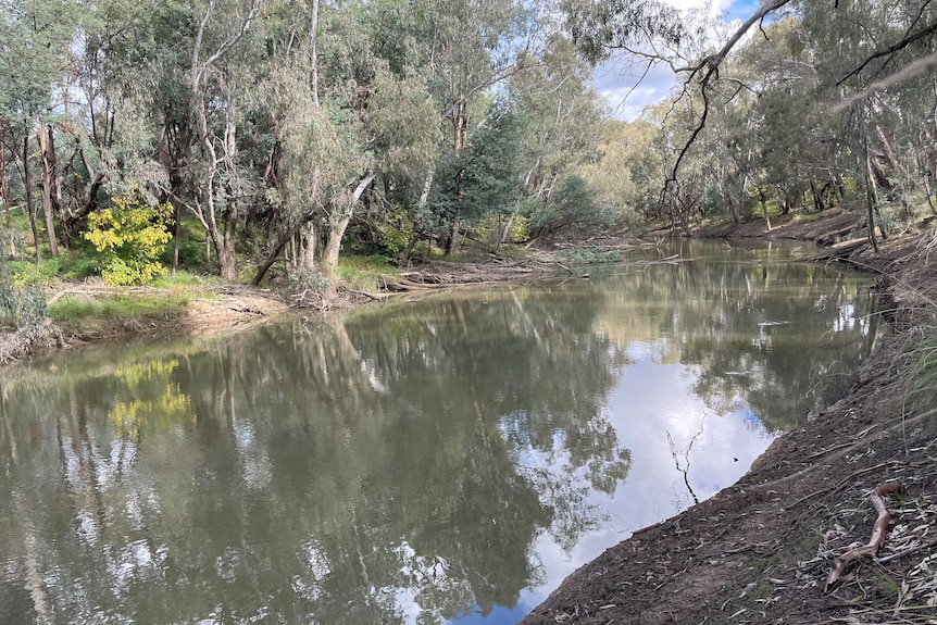 A river winds through trees