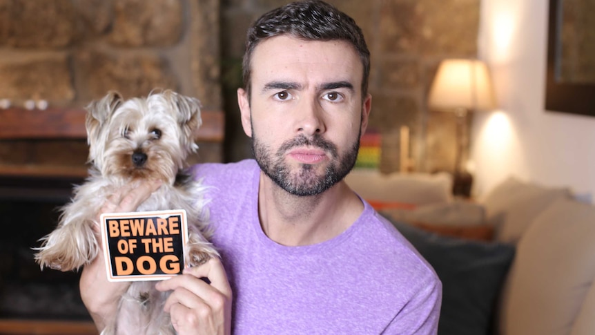 Bearded man in lounge room wearing a purple t-shirt is holding a small terrier dog and a sign saying 'beware of the dog'