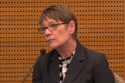 Marion Messih, banking royal commission witness in the stand