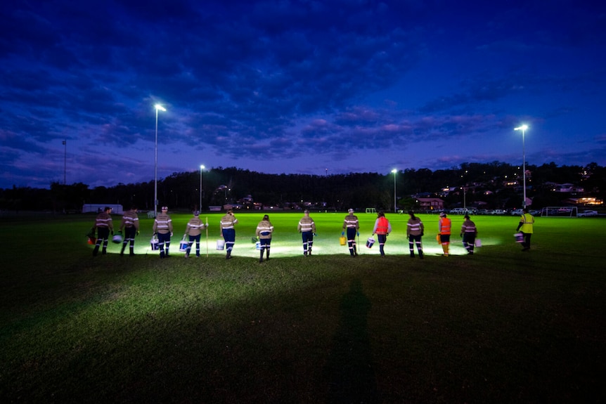 A group of people with torches scouring a sports ground for cane toads