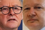 Anthony Albanese and Julian Assange's faces in a composite image. 