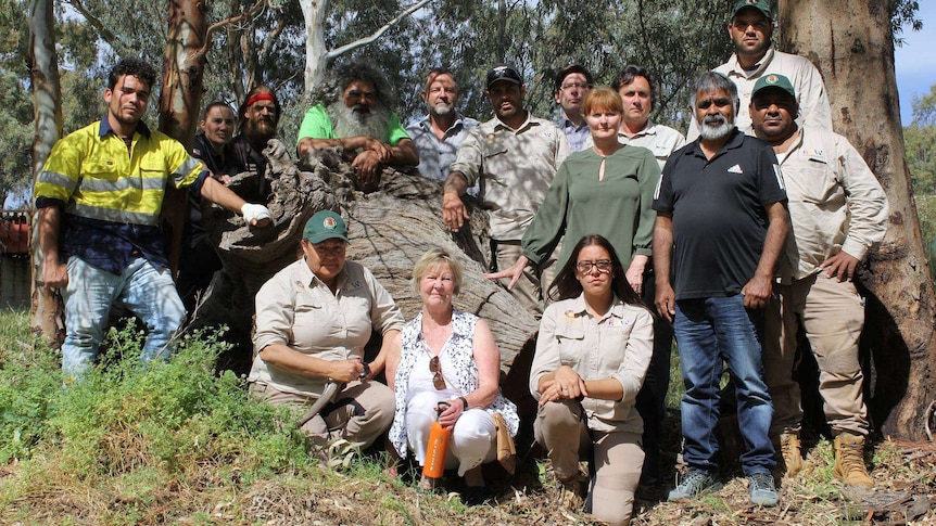 A large group of people around an old tree stump