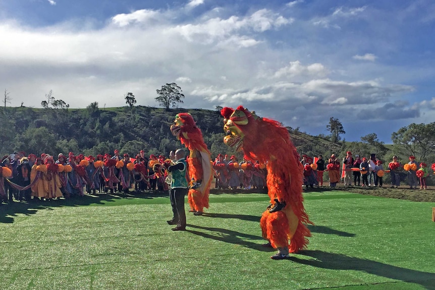 Dragon dancers at Buddhist temple statue unveiling Campania, Tasmania May 15 2016