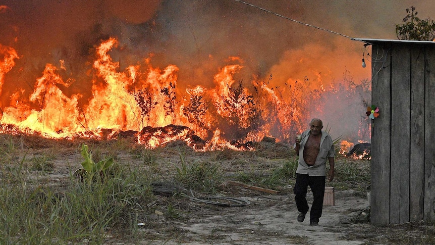 An elderly farmer walks away from a fire in Amazon rainforest.