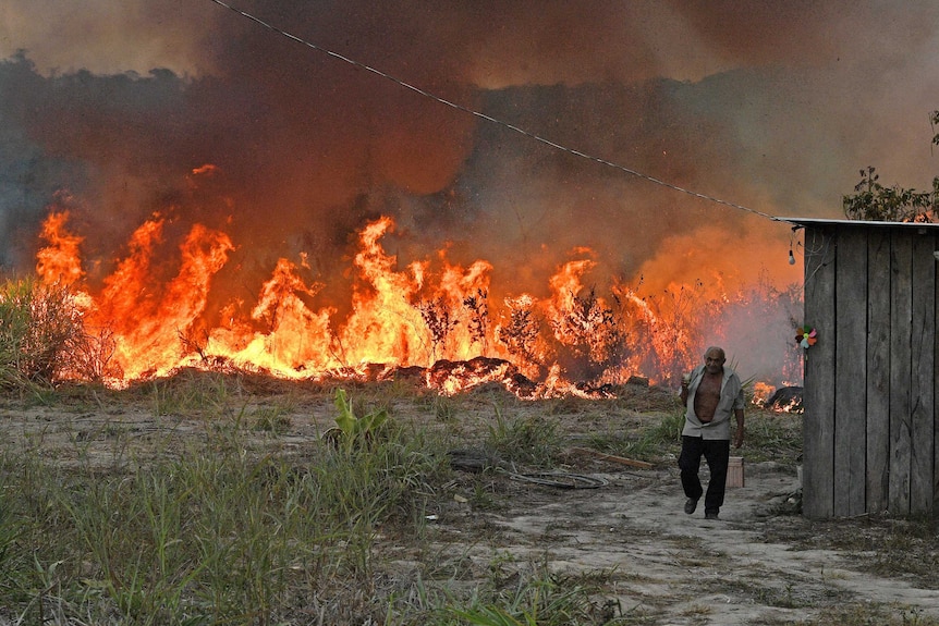 An elderly farmer walks away from a fire in Amazon rainforest.