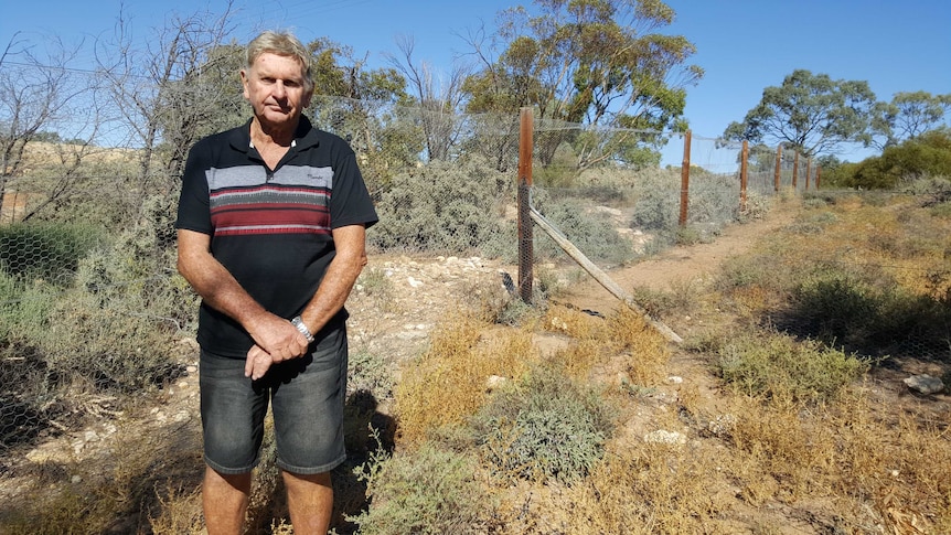 John Bannear's fox-proof fence