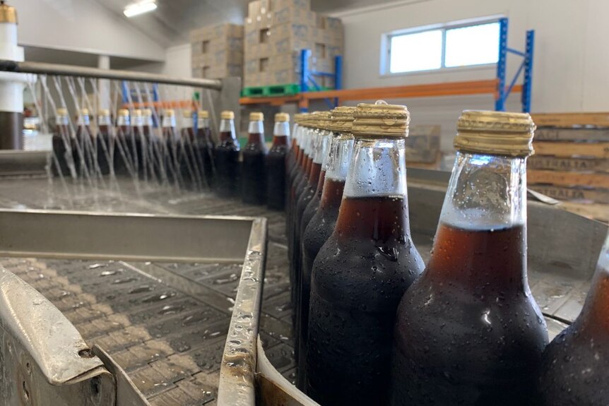 Rows of bottles without labels and filled with double sarsaparilla.