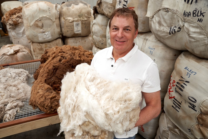 A man holds an armfull of white alpaca wool