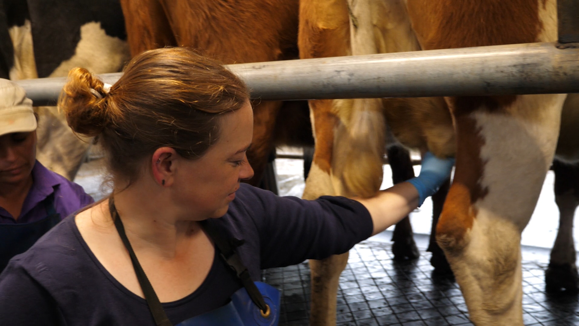 Lesbians Milking Each Other