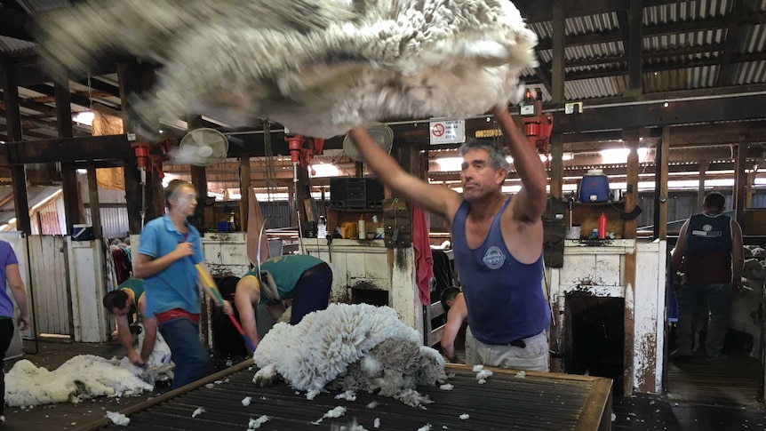 Throwing a fleece when not stuffing animals