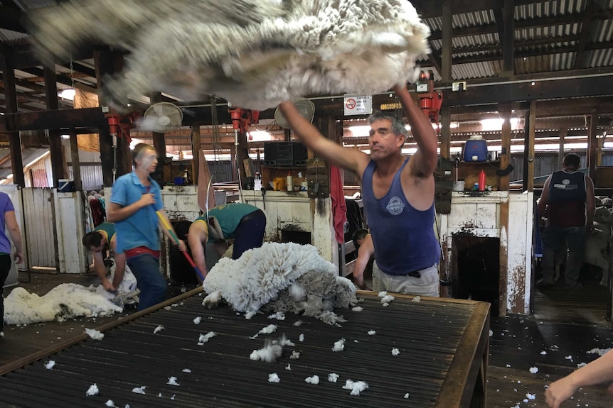 Throwing a fleece when not stuffing animals