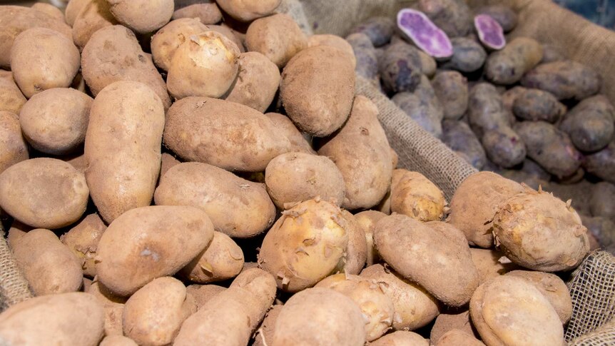 Biodynamic potatoes
