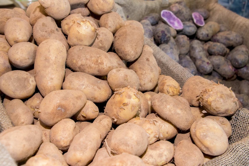 Biodynamic potatoes