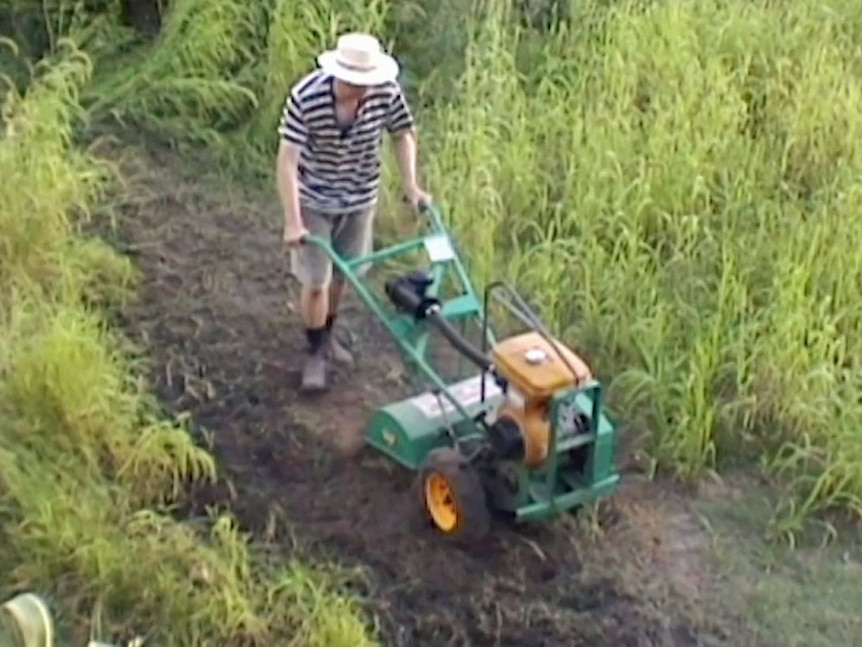 Archival photo of Jerry removing turf in his garden.