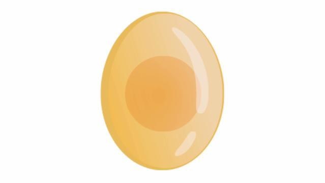 Graphic image of an egg showing the yolk as though the shell is transparent