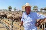 Man leaning on a fence rail looking to right with sheep in pens behind him.